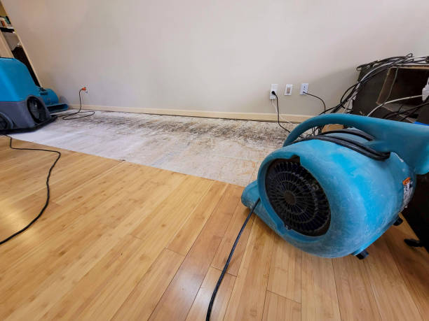Professional Water Damage Repair technician working in New Cuyama, CA